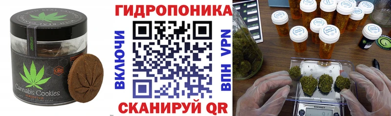 shop наркотические препараты закладка Химки Canna-Cookies марихуана ссылка на мегу рабочий сайт
