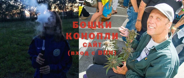 гашик Мегион