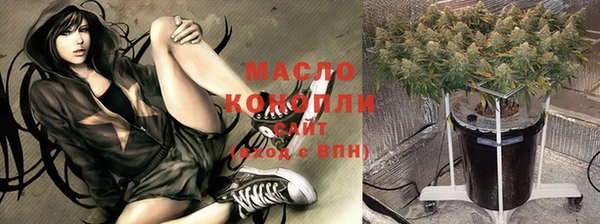 гашик Мегион