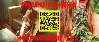 стаф Кинель