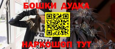 стаф Кинель