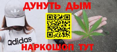 стаф Кинель