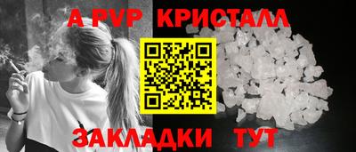 стаф Кинель
