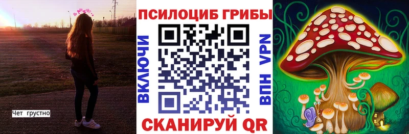 Псилоцибиновые грибы Psilocybine cubensis Химки