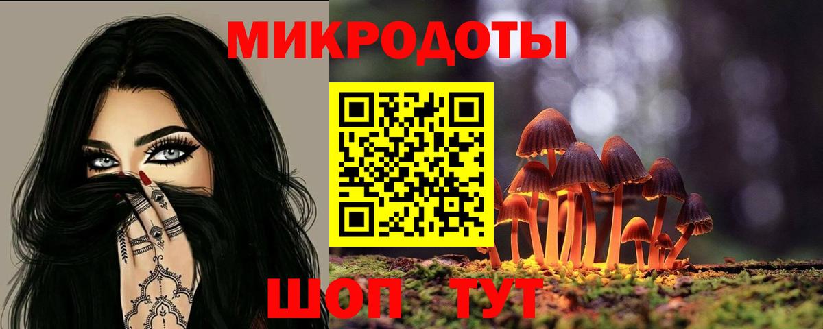 Галлюциногенные грибы Psilocybe  где можно купить наркотик  Псилоцибиновые грибы MAGIC MUSHROOMS  Химки  Вход с VPN 
