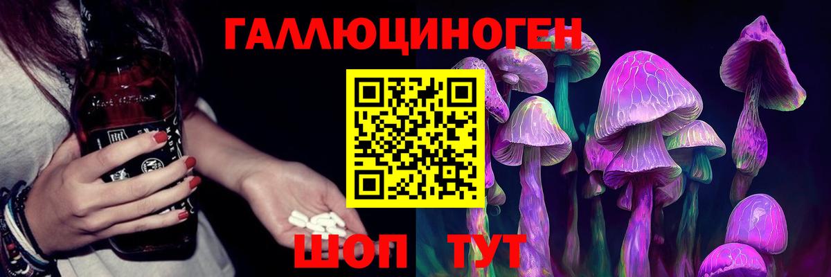 Галлюциногенные грибы Psilocybe Химки